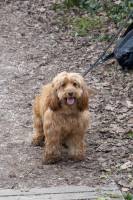 Jonathan RICHARDOT - RICHARDOT JONATHAN