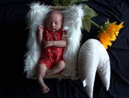 Jonathan RICHARDOT - RICHARDOT JONATHAN